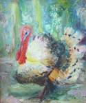 Turkey cock